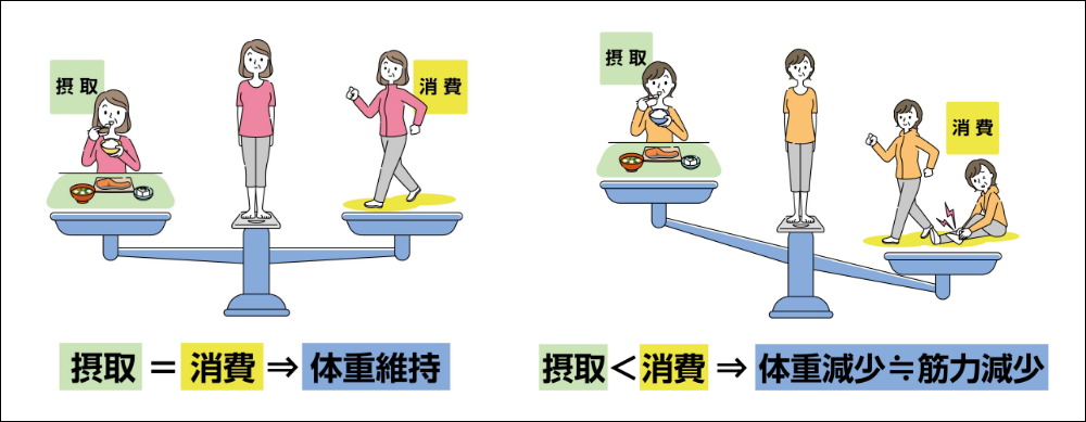 エネルギー量と体重の関係